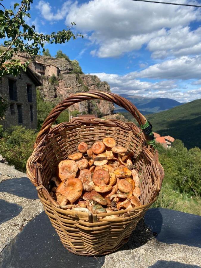 Вілла Cal Ferrer Habitatge Rural Cava Екстер'єр фото