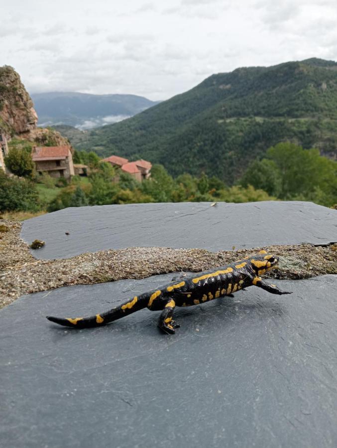 Вілла Cal Ferrer Habitatge Rural Cava Екстер'єр фото